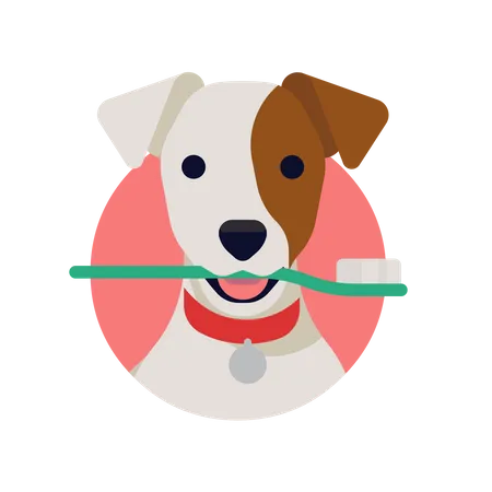 Closeup of Jack russell Dog Holding toothbrush in mouth Illustration