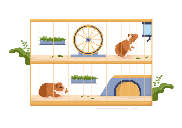 Mascotas de conejillo de indias dentro de la jaula  Ilustración