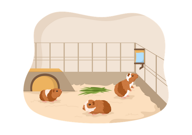 Mascotas de cobaya en cautiverio  Ilustración