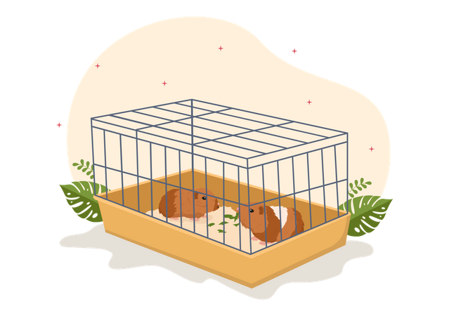 Cage pour cochon d'Inde  Illustration
