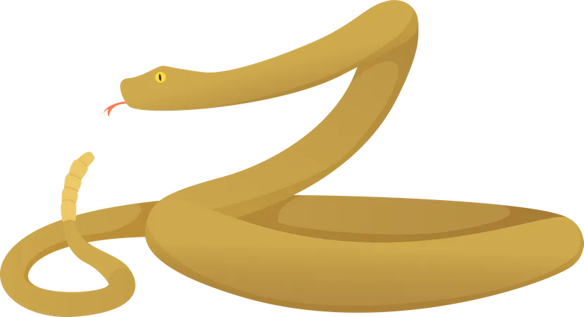 Cobra  Ilustração