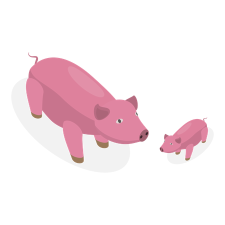 Cochon adulte prenant soin de bébé cochon  Illustration