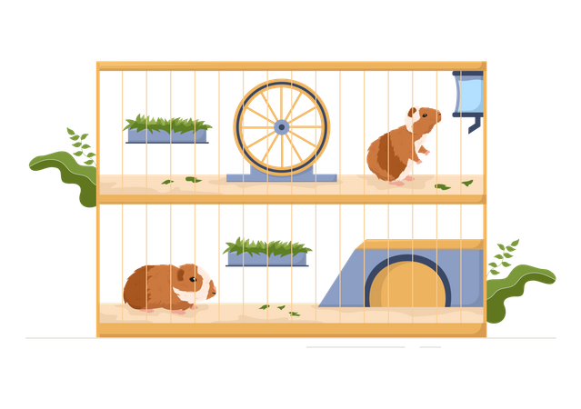 Animaux de compagnie de cobaye à l'intérieur de la cage  Illustration