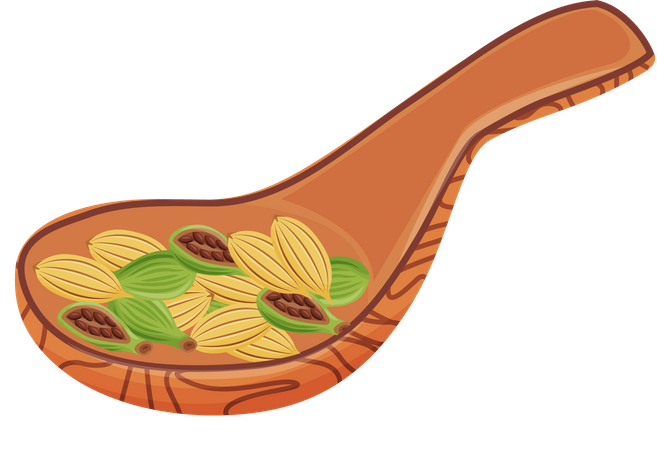 Cocoa grains  Illustration