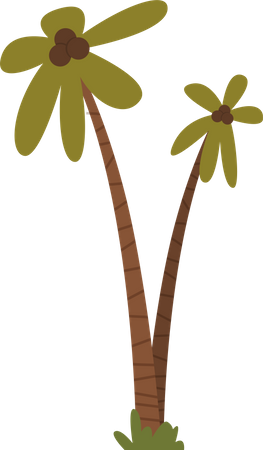 Coconut tree  Illustration