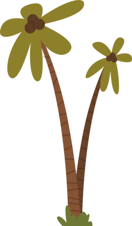 Coconut tree  Illustration