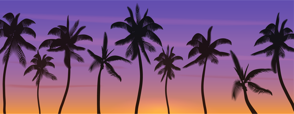 Coconut trees at beach  Illustration