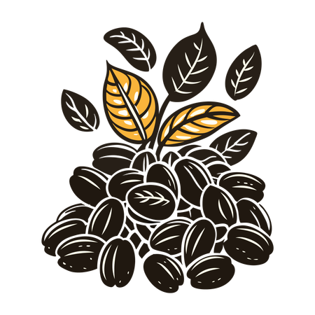 Coffee Beans  Illustration