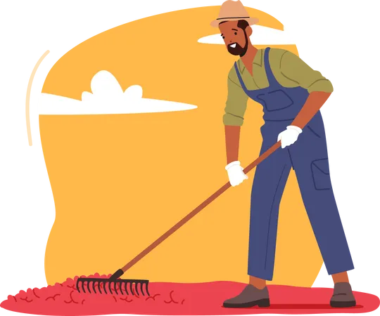 Coffee Farmer Work On Plantation Raking Ripe Beans On Field Isolated On White Background African Worker Male Character Grow Harvest Coffee Industry Cultivation Cartoon People Vector Illustration Illustration