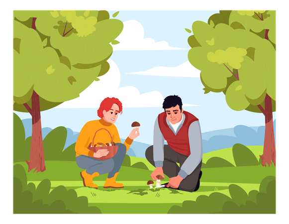Coletando cogumelos na floresta  Ilustração