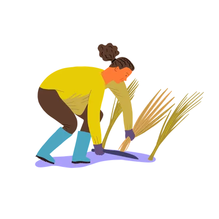 Homem cortando colheita  Ilustração