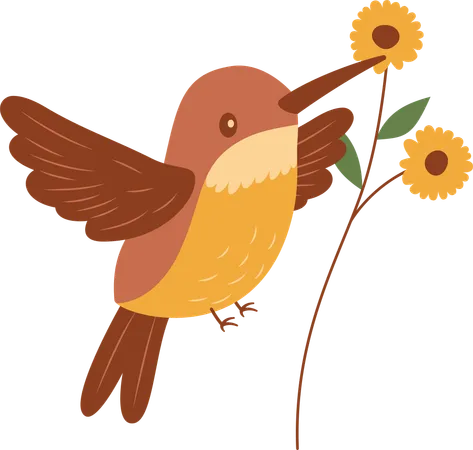 Colibri mignon volant avec une fleur  Illustration