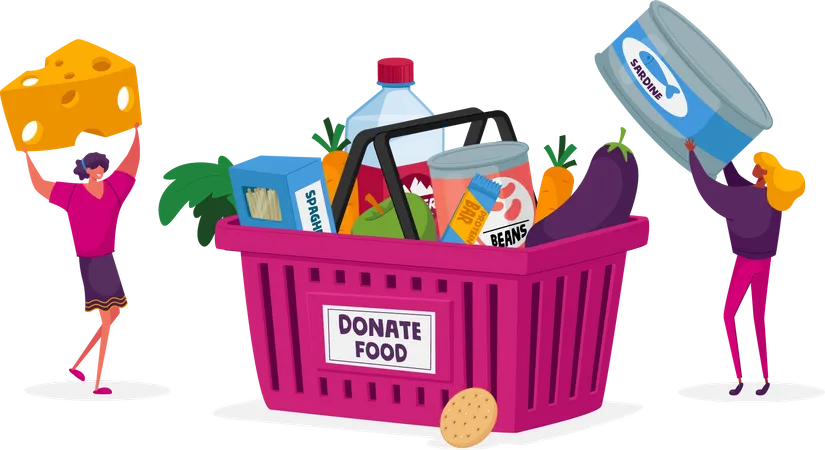 Collecting food for donation  Illustration