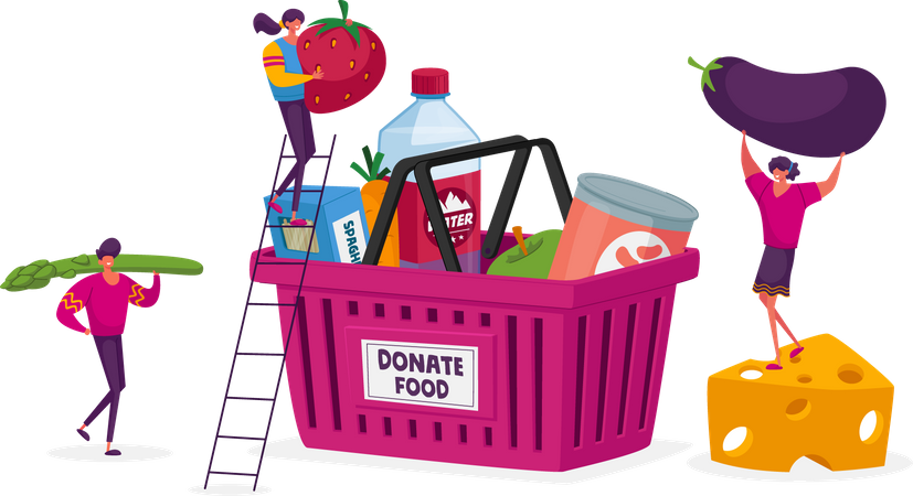 Collecting food for donation  Illustration