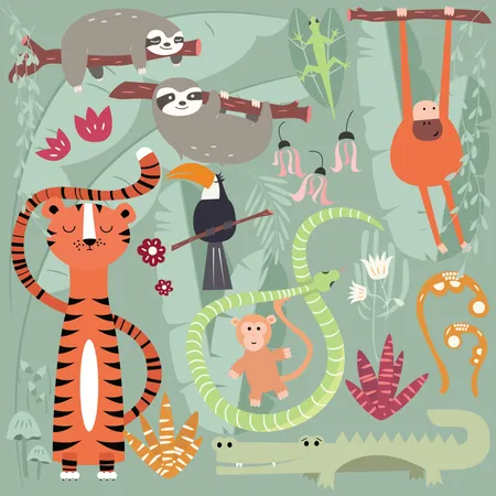 Collection of cute rain forest animals, tiger, snake, sloth, monkey  Illustration