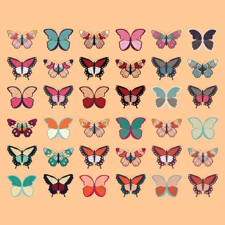 Collection of thirty six colorful hand drawn butterflies, orange background  Illustration