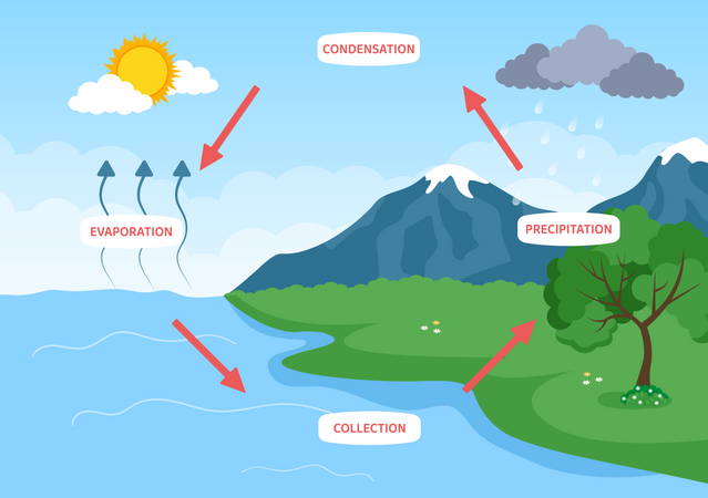 Collection of water after condensation  Illustration