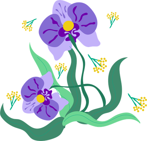 Colorful Pansy Flourish  Illustration