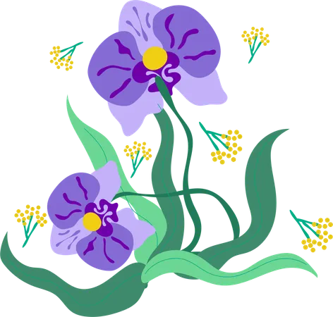 Colorful Pansy Flourish  Illustration