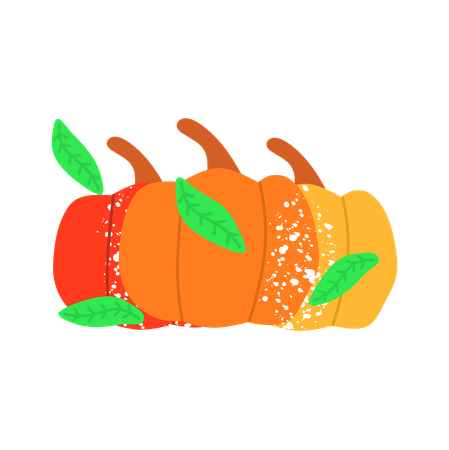 Colorfull pumpkins  Illustration