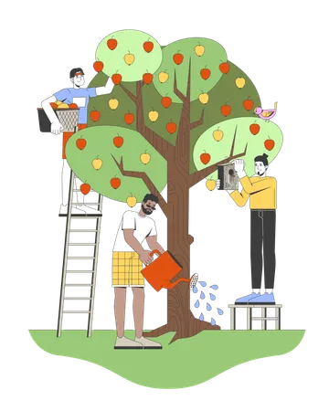 Community apple harvest  Illustration