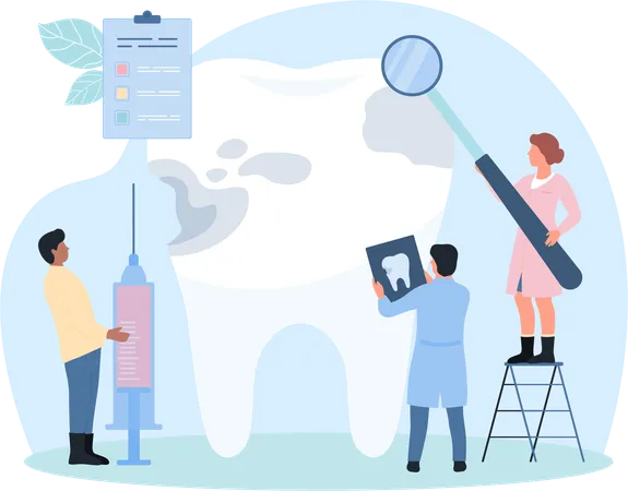 Comprehensive Dental Examination  Illustration
