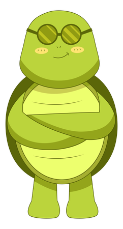 Cool Turtle With Sunglasses  Illustration