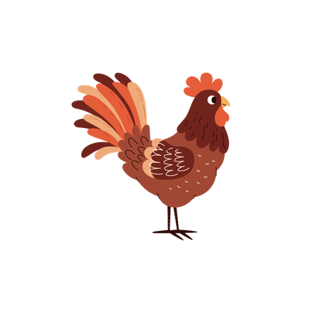 Coq oiseau  Illustration