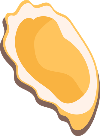 Coquille  Illustration