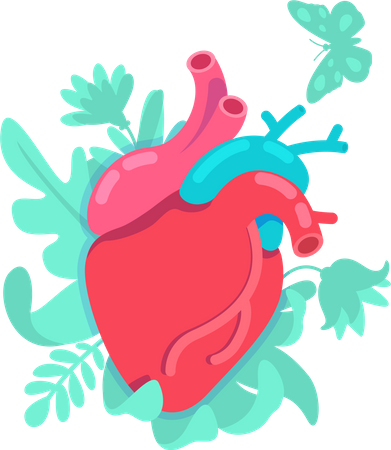 Coração anatômico  Ilustração
