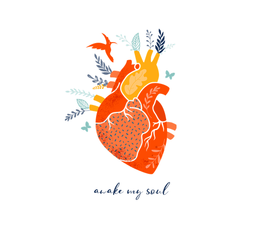 Corazón  Ilustración