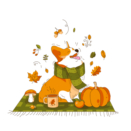 Chien Corgi en écharpe assis sur une couverture  Illustration