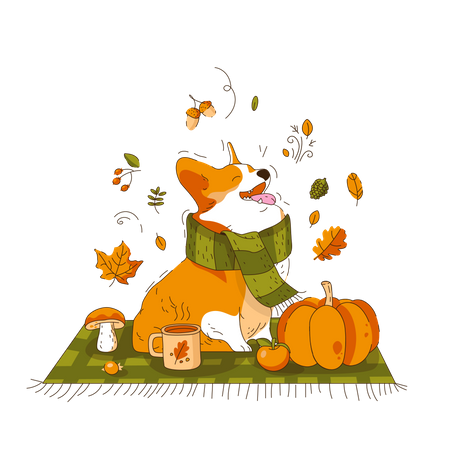 Corgi Dog in Scarf Sitting on blanket  Illustration