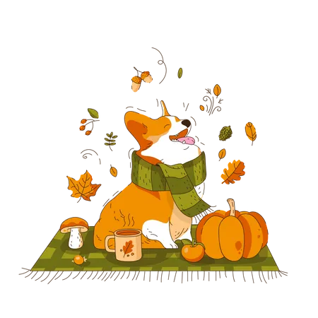 A Corgi Dog In A Scarf Is Sitting On A Blanket Picnic In Autumn Style Vector Illustration Illustration