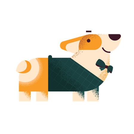 Corgi dog in sweater and bow tie Illustration