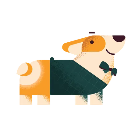 Corgi dog in sweater and bow tie  Illustration