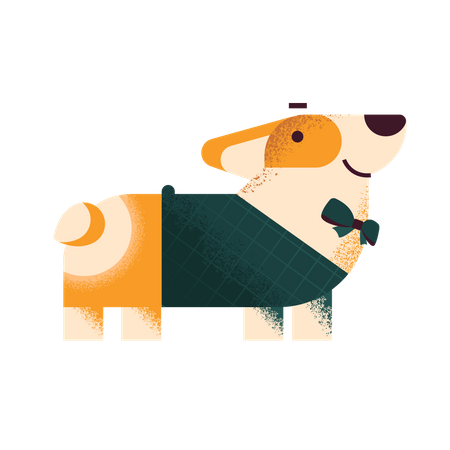 Corgi dog in sweater and bow tie  Illustration