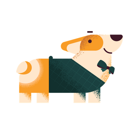 Corgi dog in sweater and bow tie  Illustration