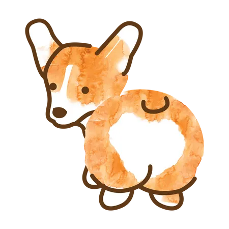 Corgi  Illustration