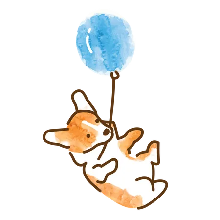 Corgi playing with balloon  Illustration