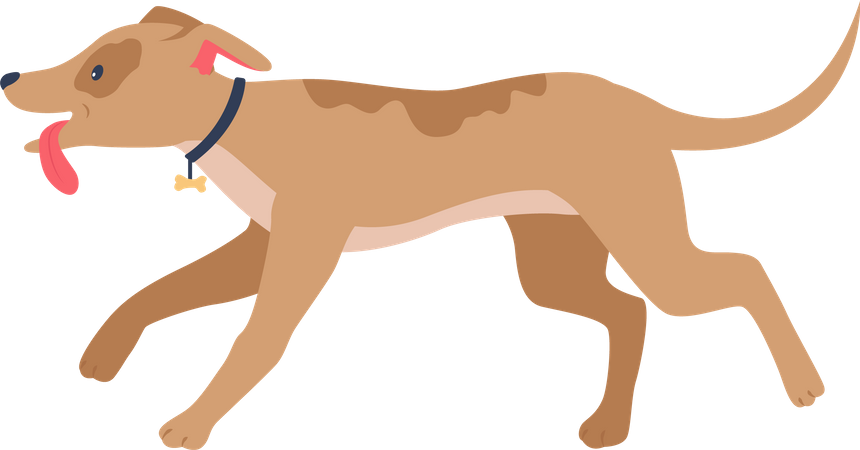 Corriendo perro feliz  Ilustración