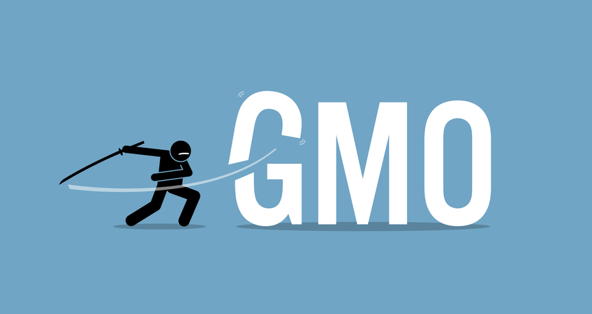 Cortar alimentos OGM para uma dieta saudável. Conceito de arte vetorial de estilo de vida saudável, alimentação orgânica e parar de comer alimentos de organismos geneticamente modificados.  Ilustração