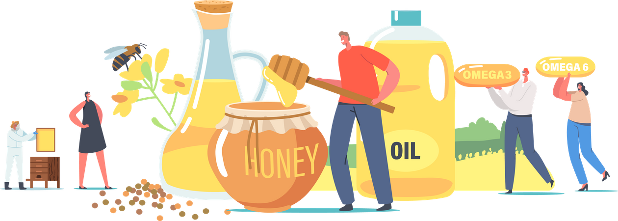 Cosechadora de miel recogiendo miel fresca y en frasco  Ilustración