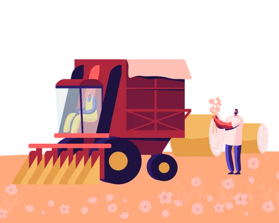 Cotton Picker Working in Field  Illustration