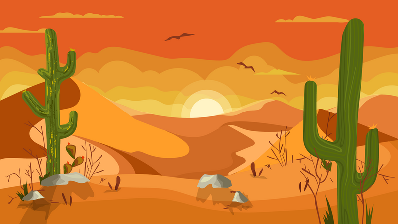 Coucher de soleil dans le désert  Illustration