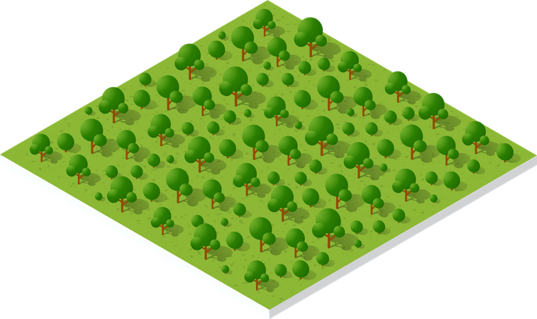 Country Forest  Illustration