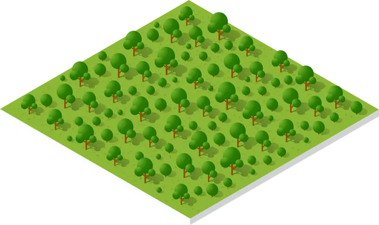 Country Forest  Illustration