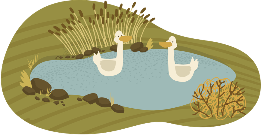 Countryside Lake  Illustration