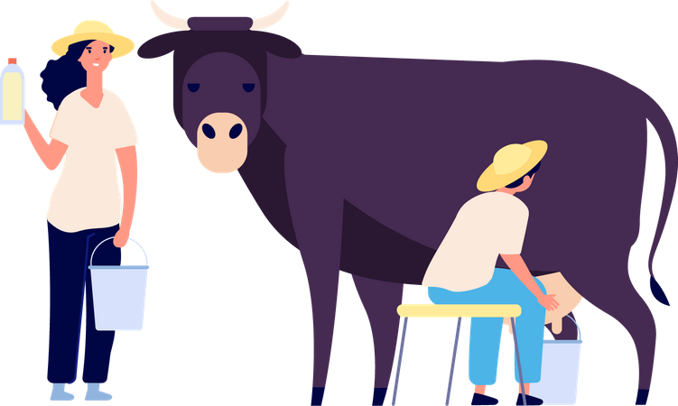 Couple collectant du lait frais en bouteille  Illustration