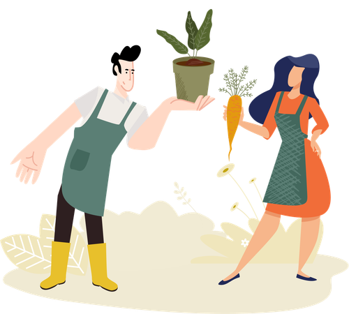 Couple collects newly grown vegetables from garden  Illustration